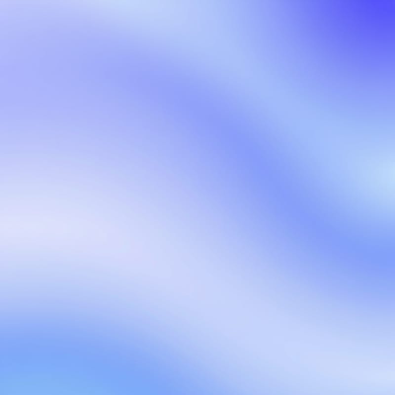 Movement 生态社区参与更新