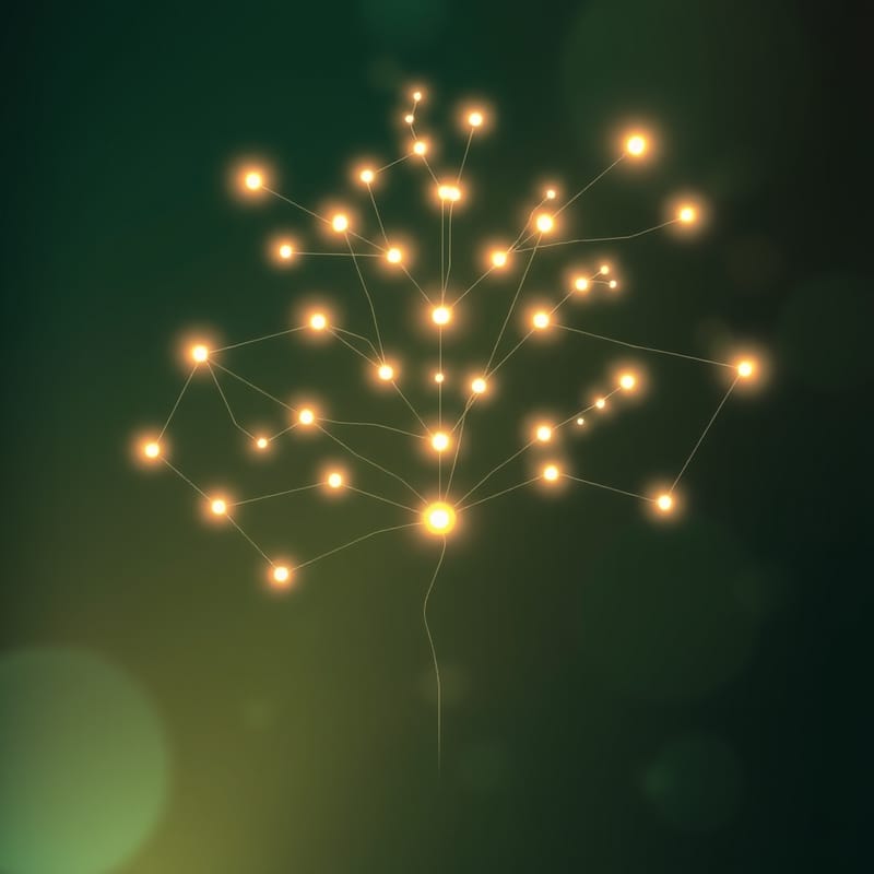 Canopy 定位为 Movement 生态的协议连接器